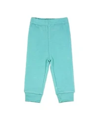 Baby Boys Dino 5 Piece Bodysuit, Pants, Bib, and Socks Set