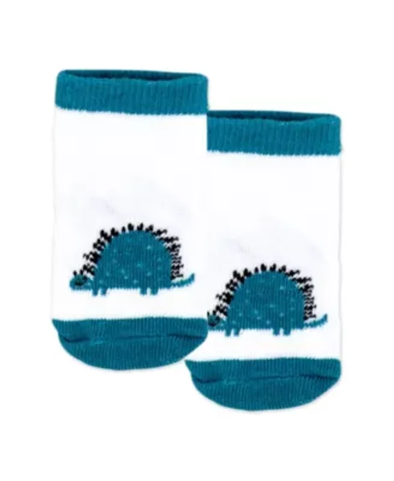 Baby Boys Dino 5 Piece Bodysuit, Pants, Bib, and Socks Set