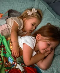 Pipp & Spalding Seek-and-Find Blanket Toddler's Springtime in The Woodlands Adventure Throw