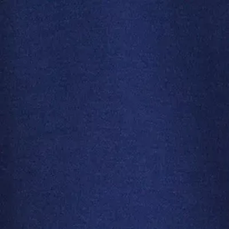 Toddler Boys Short Sleeve Polo Shirt and Shorts Set