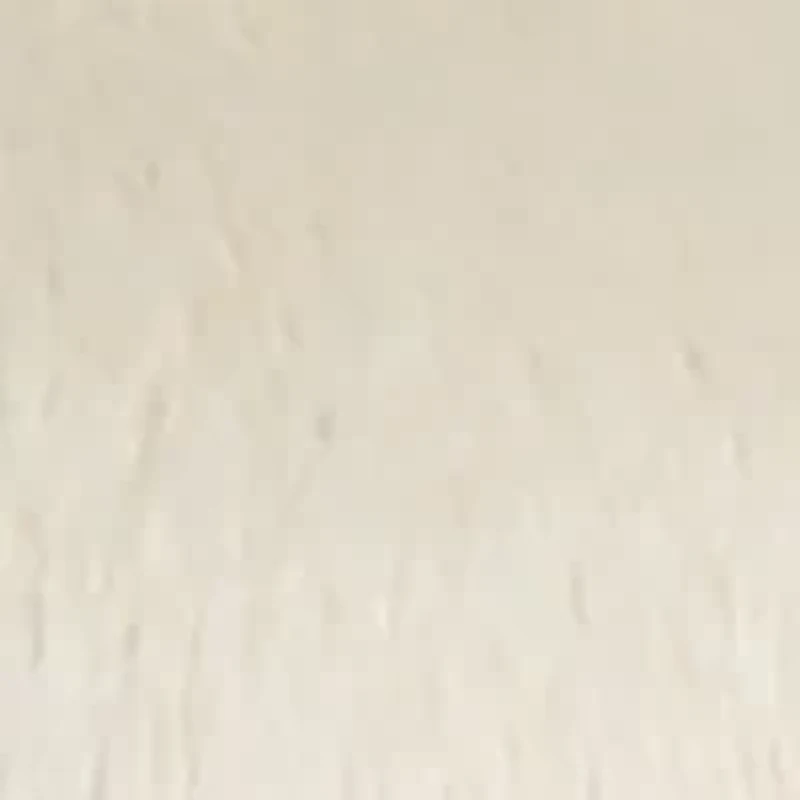 Mirror Cow Toy