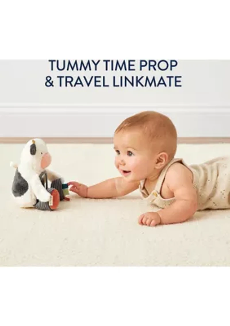 Mirror Cow Toy