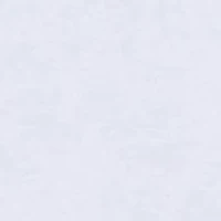 Boys Toddler Compass White Long Sleeve Rash Top