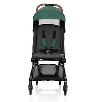 Hummingbird Carbon Fiber Lightweight Stroller
