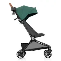 Hummingbird Carbon Fiber Lightweight Stroller