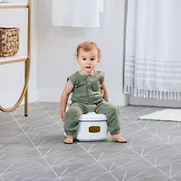 3-in-1 Potty Training System