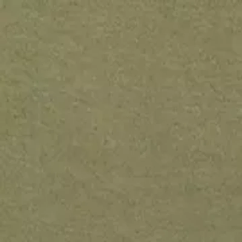 Toddler Boys Two Piece Fleece Jogger Set