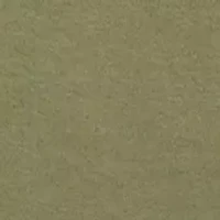 Toddler Boys Two Piece Fleece Jogger Set