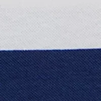 Toddler Boys Stripe Polo Shirt and Shorts Set