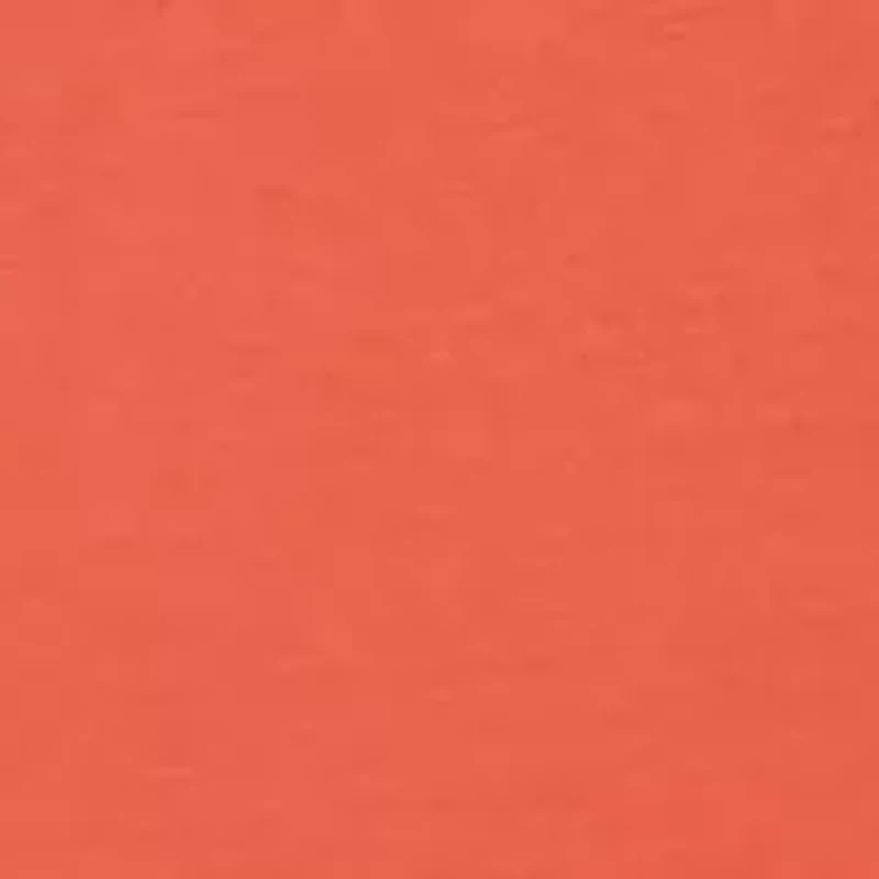 Toddler Boys Shirts and Shorts Set