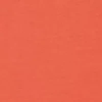 Toddler Boys Shirts and Shorts Set