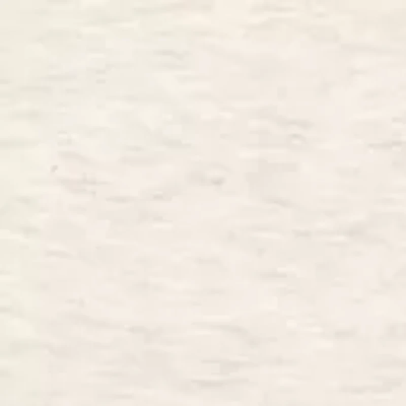 Baby Boys Shirts and Shorts Set