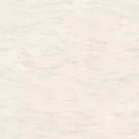 Baby Boys Shirts and Shorts Set