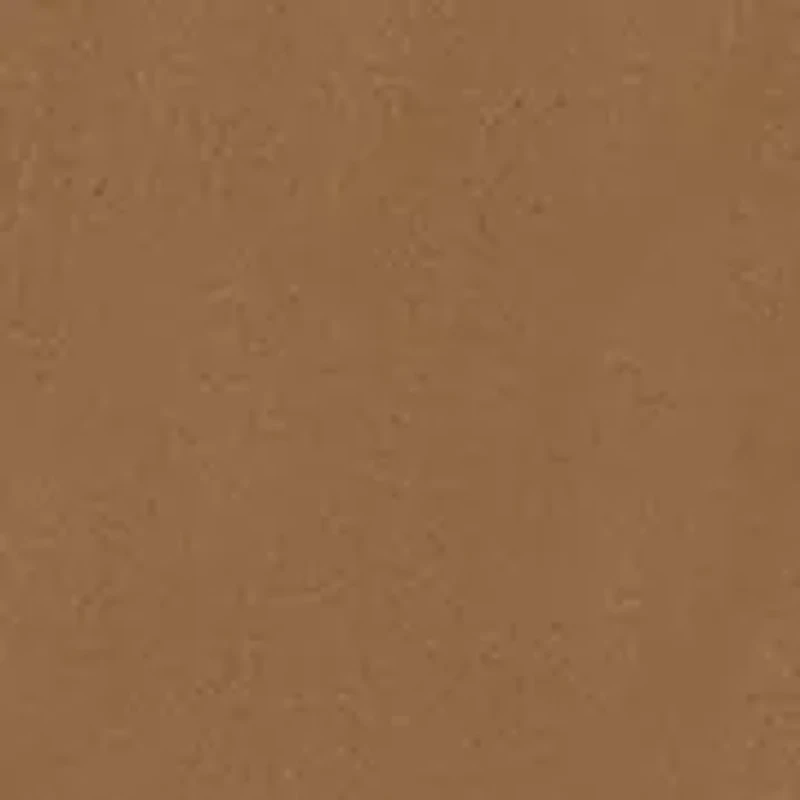 Toddler Boys Printed Dress Shirt and Cargo Jogger Set