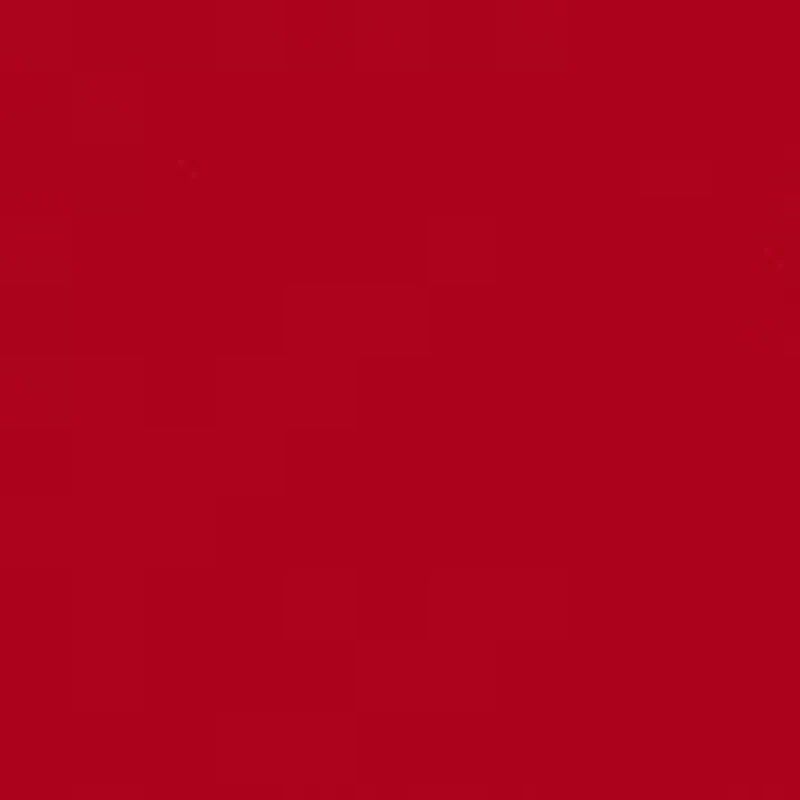 Toddler Boys Woven Shorts Set