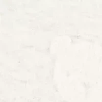 Baby Boys Organic Cotton Bear Set