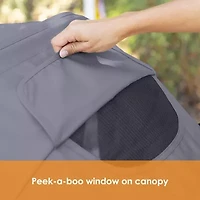 Navigator PRO 2-in-1 Stroller Wagon - Dash Sage