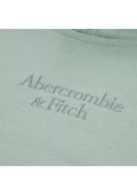 toddler logo pullover