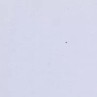 Toddler Girls T-Shirt and Biker Shorts Set