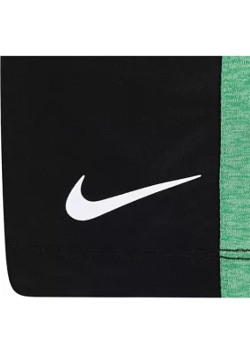 Toddler Boys Dri Fit T-Shirt and Shorts Set