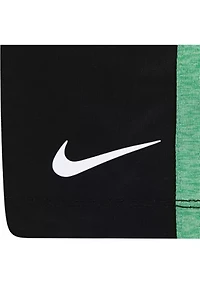 Toddler Boys Dri Fit T-Shirt and Shorts Set
