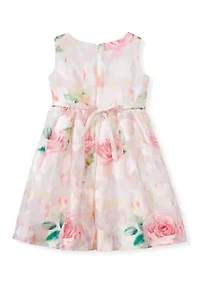 Girls 4-6 Burnout Sparkle Waist Dress