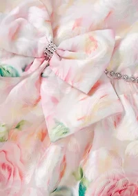 Girls 4-6 Burnout Sparkle Waist Dress