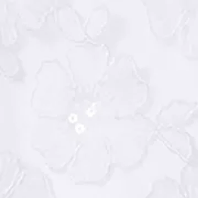 Girls 4-6 Allover Sparkle Lace Dress