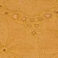 Girls 4-6x Eyelet Bib Front Dress