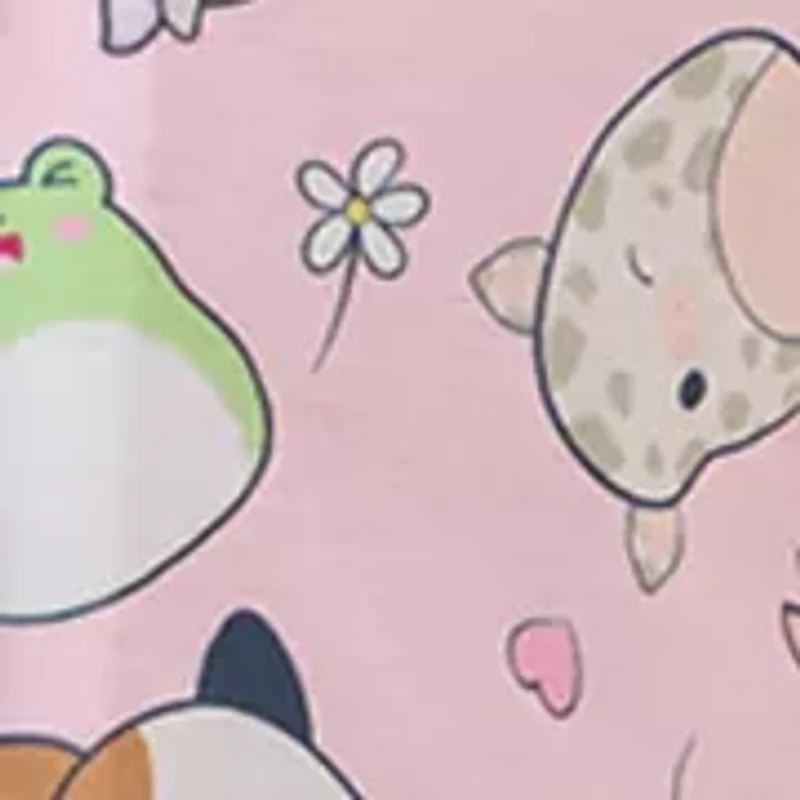 Girls 4-16 Squishmallows Pajama Set