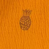 Girls 4-6x Pineapple Tie Waist Shorts