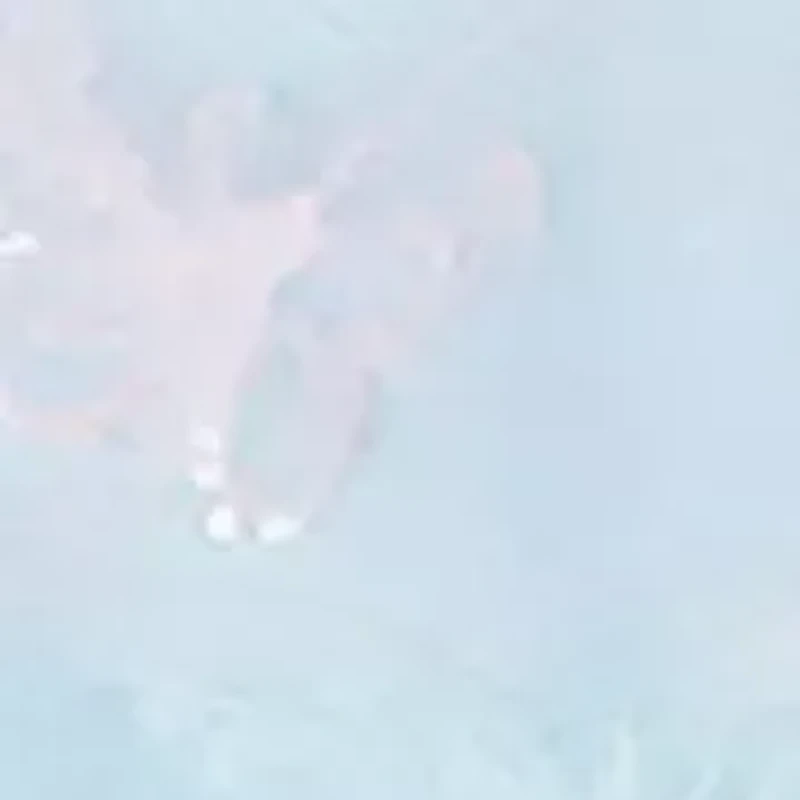 Girls 4-6x Butterfly Mesh Hi Low Dress