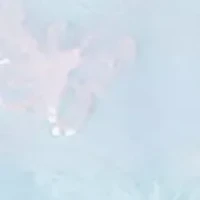 Girls 4-6x Butterfly Mesh Hi Low Dress