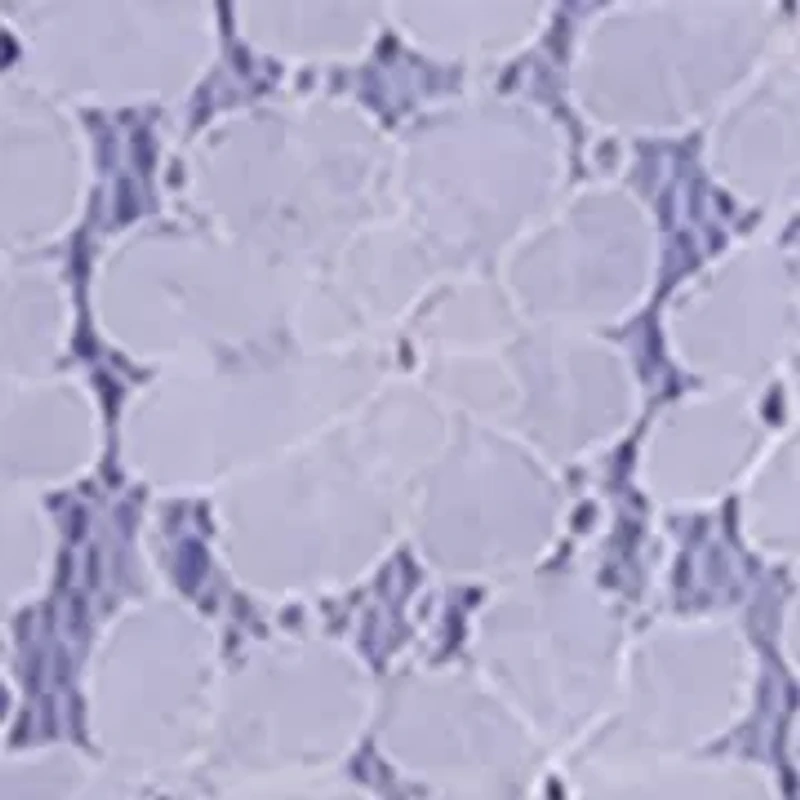 Girls 4-6x Puff Sleeve Printed Dress