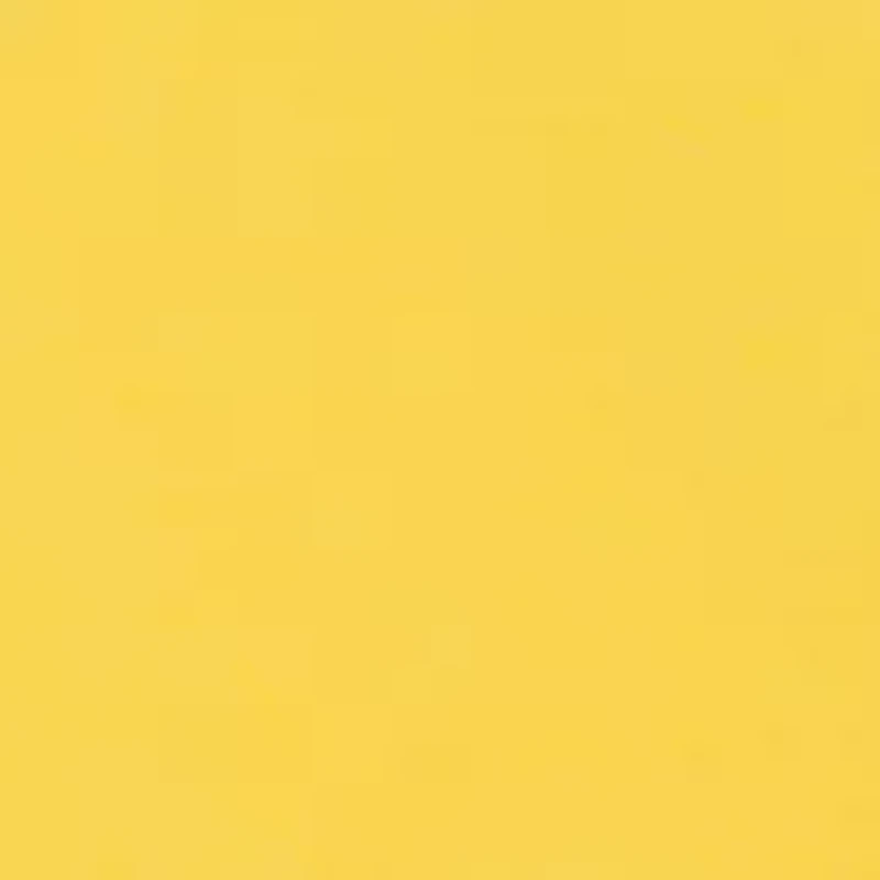 Girls 4-6x Bee Knit Top and Skort