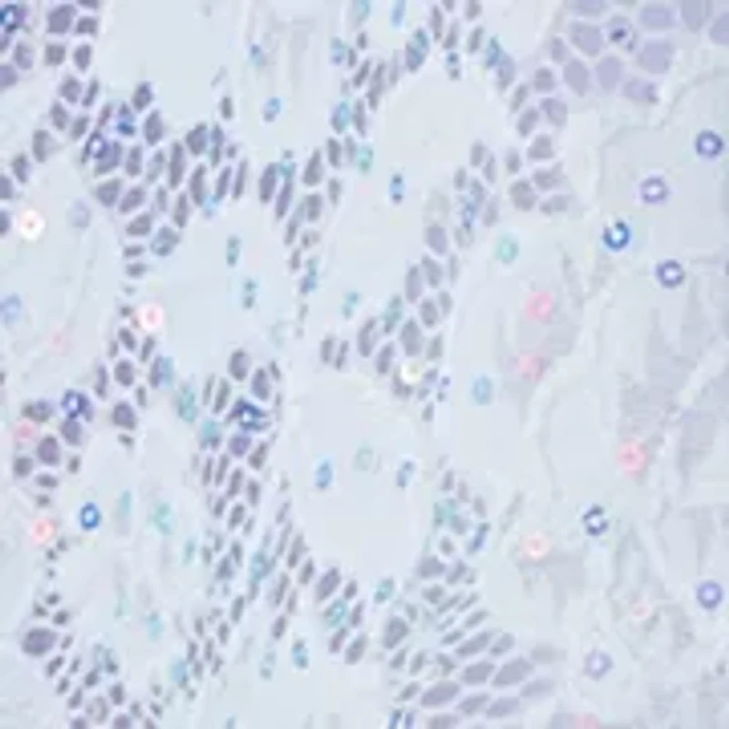 Girls 4-6 Glitter Lace Hi Low Dress