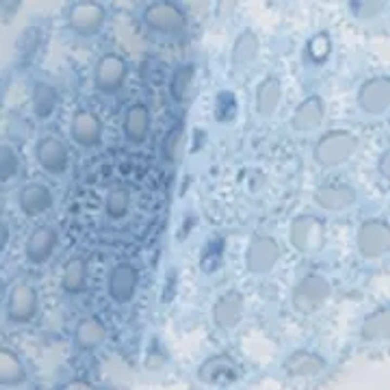 Girls 4-6x Embroidered Eyelet Tiered Dress