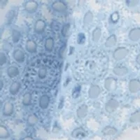 Girls 4-6x Embroidered Eyelet Tiered Dress