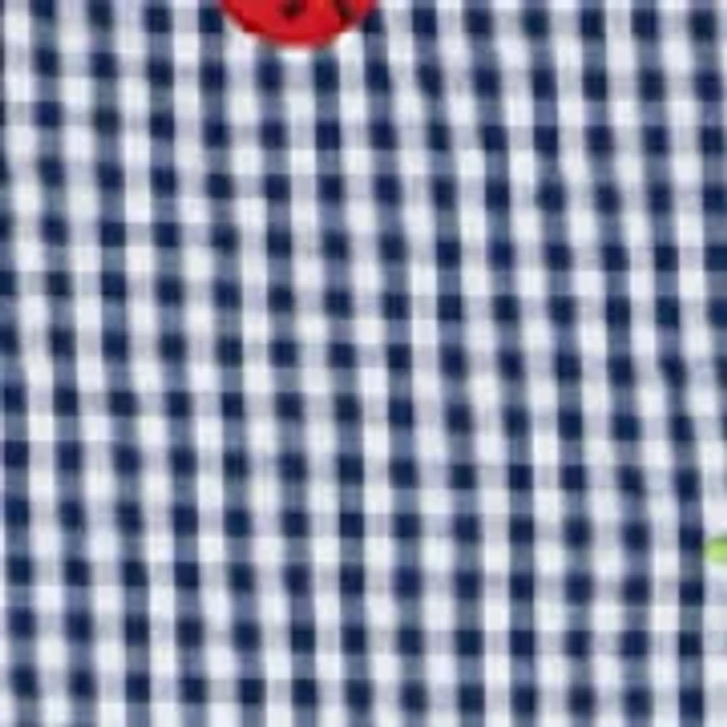 Girls 4-6 Ladybug Seersucker Capri Set