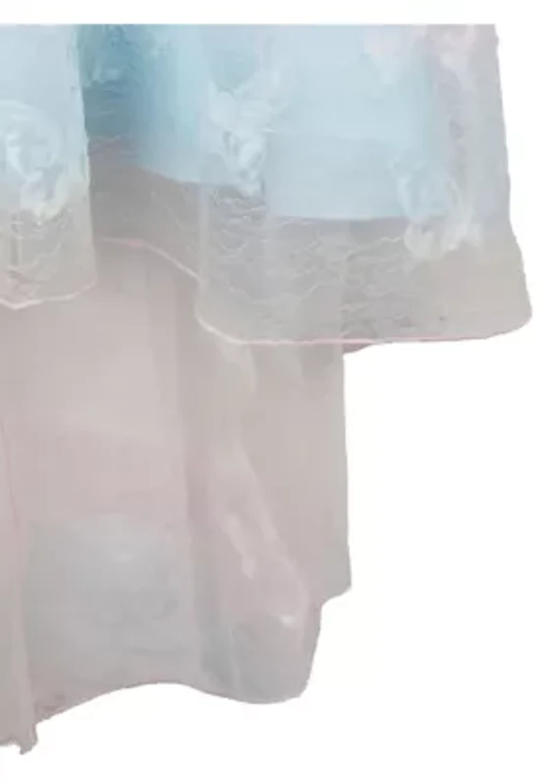 Girls 7-16 Butterfly Mesh Dress