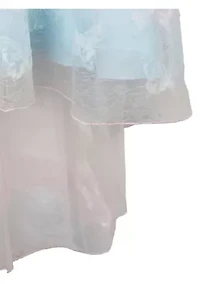 Girls 7-16 Butterfly Mesh Dress