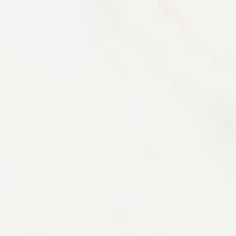 Girls 4-6x Multi Tree Pullover and Legging Set