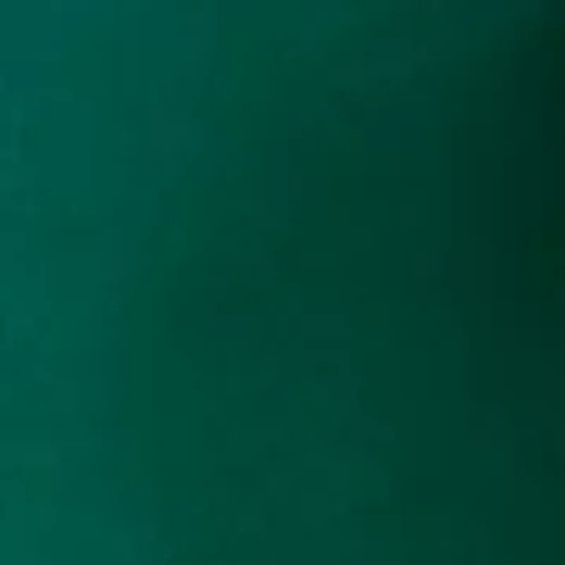 Women's Green Velvet Soutache Dress