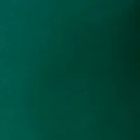 Women's Green Velvet Soutache Dress