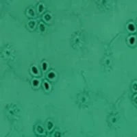 Girls 4-6 Floral Eyelet Set