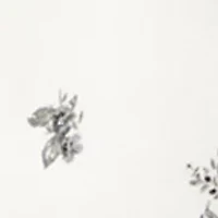 Girls 7-16 Printed Rose Satin Bow Crew Neck Sweater