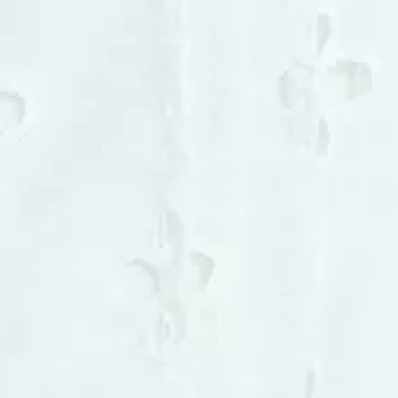 Girls 7-16 Puff Sleeve Eyelet Top