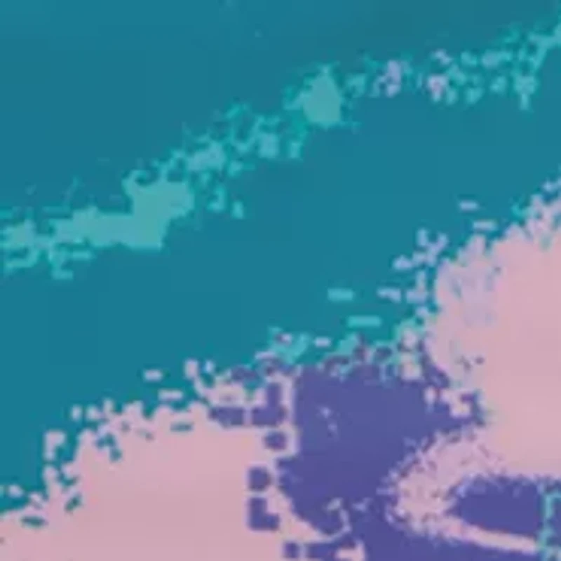 Girls 4-6x Dissolve Camo Printed Two Piece Swimsuit