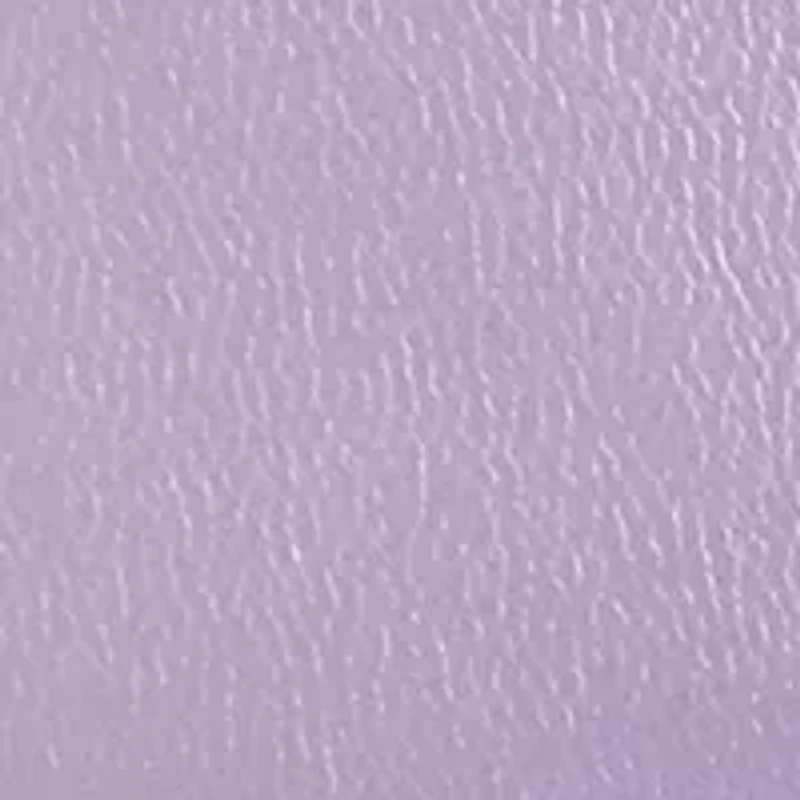 Iridescent Bag with Heart Closure