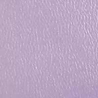 Iridescent Bag with Heart Closure